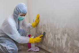 Mold Documentation for Insurance Claims in Sam Rayburn, TX